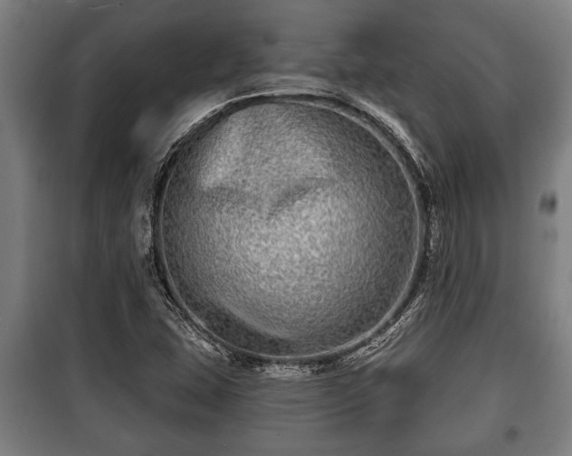 X0000100841407200806271101