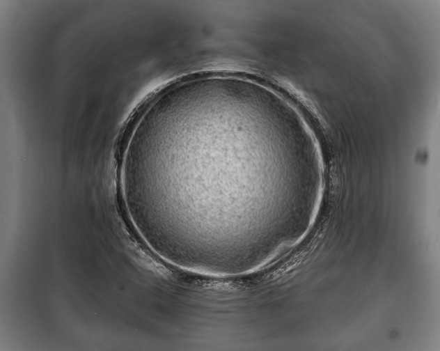 X0000100841408200806271101