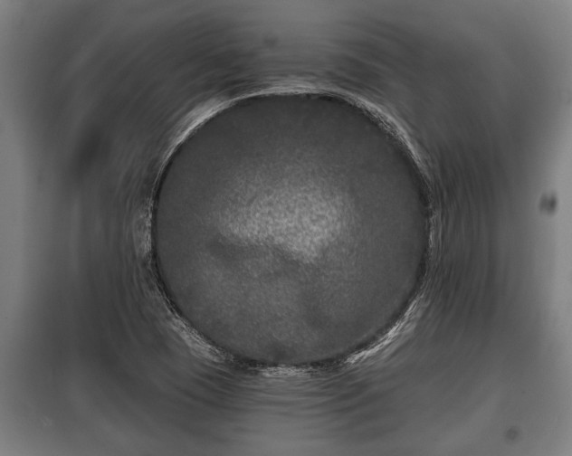 X0000100841409200806271101