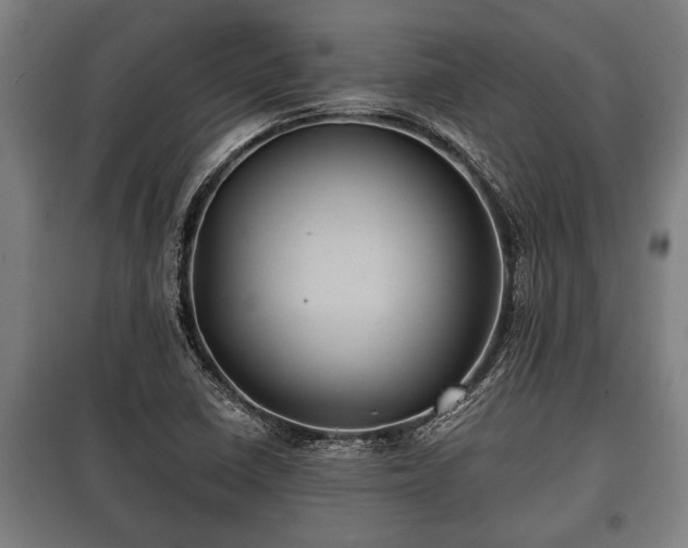 X0000100841410200806271101