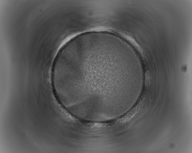 X0000100841412200806271101