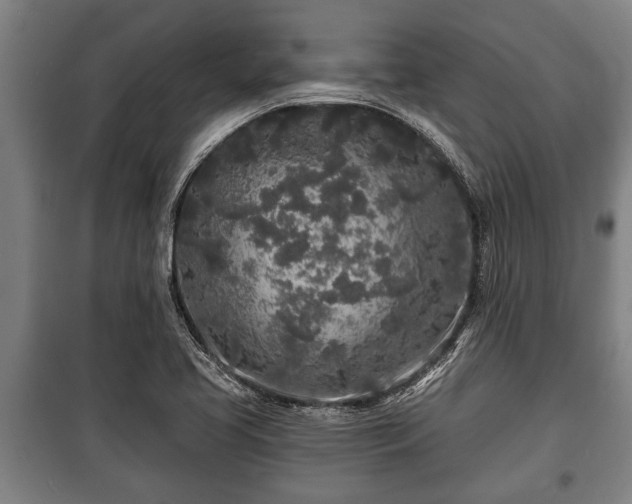 X0000100841413200806271101