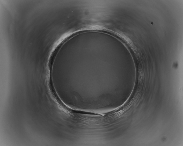 X0000100841414200806271101