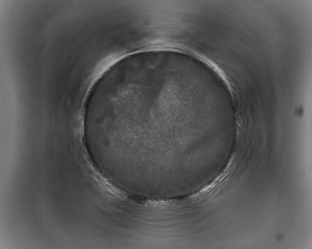 X0000100841415200806271101