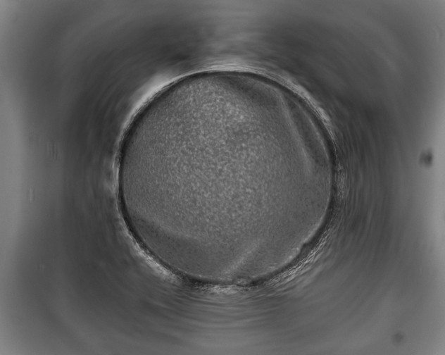 X0000100841416200806271101