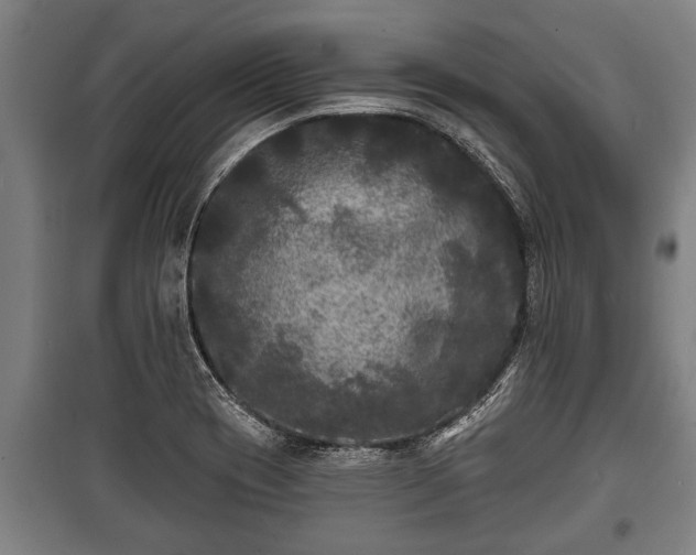 X0000100841417200806271101