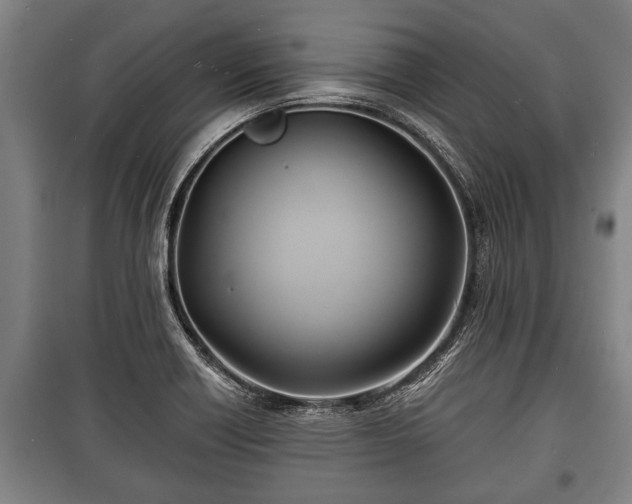 X0000100841418200806271101