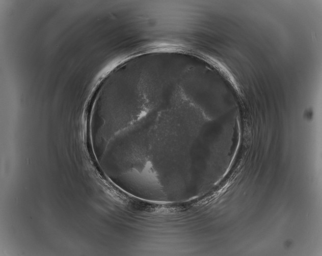 X0000100841419200806271101