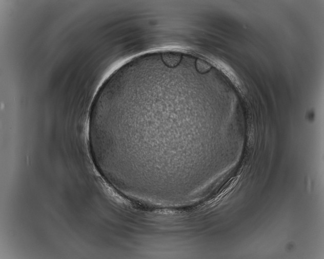 X0000100841420200806271101