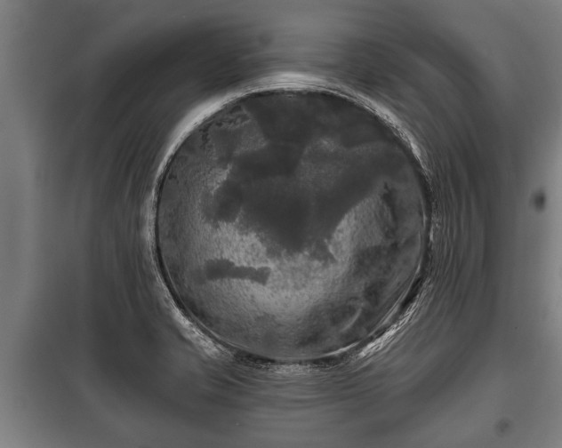 X0000100841421200806271101