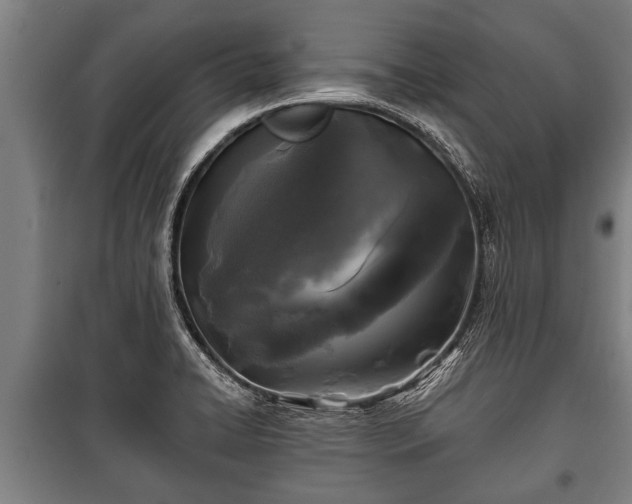 X0000100841422200806271101