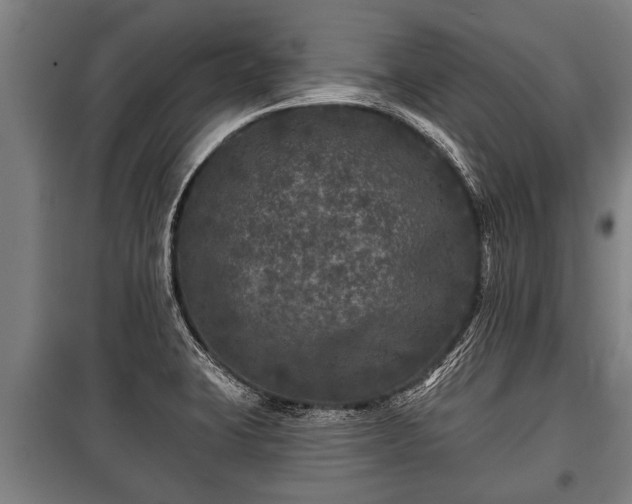 X0000100841423200806271101