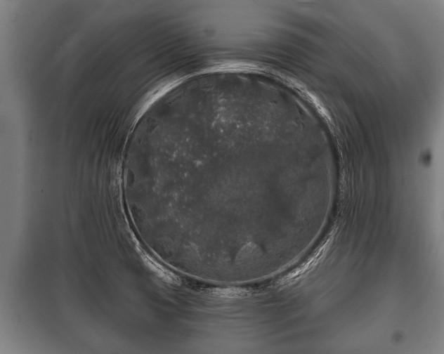 X0000100841425200806271101