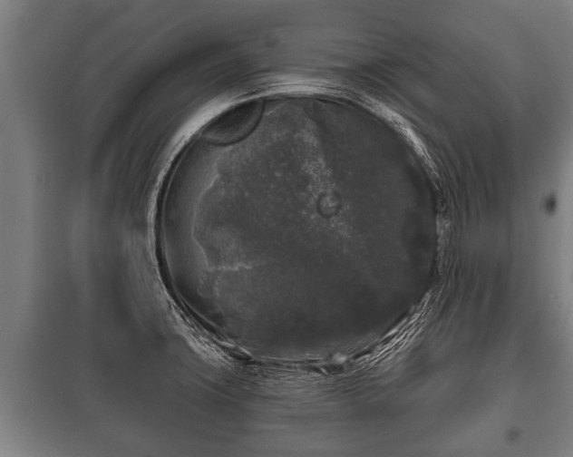 X0000100841427200806271102