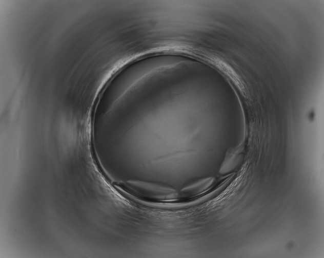 X0000100841428200806271102