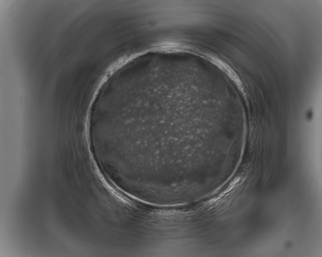 X0000100841429200806271102