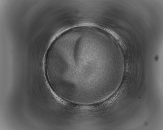 X0000100841430200806271102