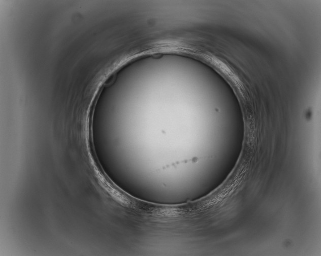 X0000100841431200806271102