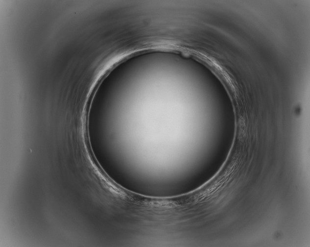 X0000100841432200806271102