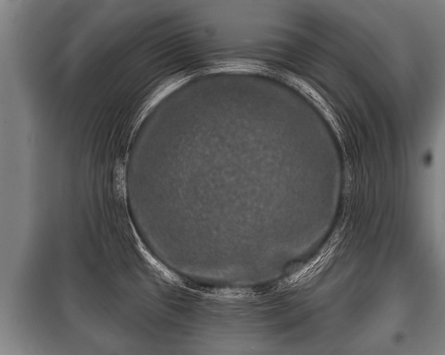 X0000100841433200806271102