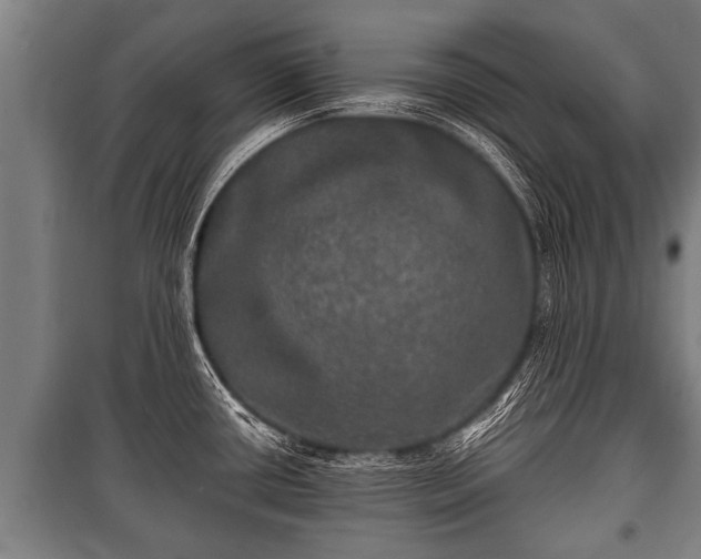 X0000100841434200806271102