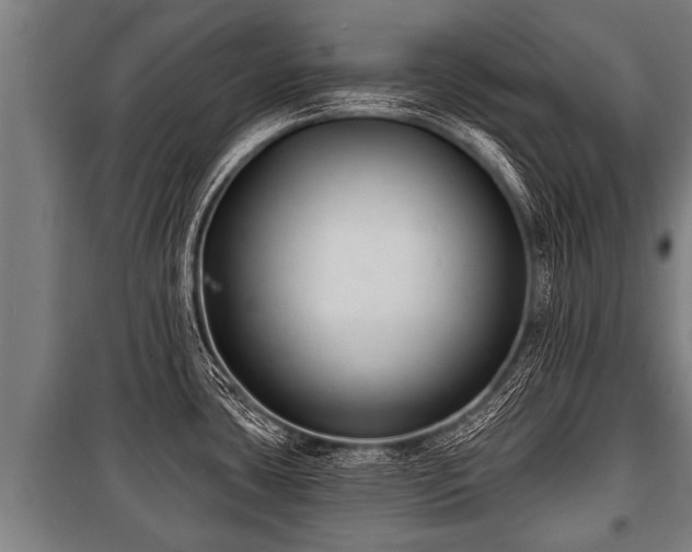 X0000100841435200806271102