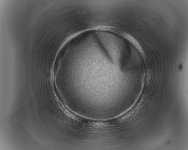 X0000100841436200806271102