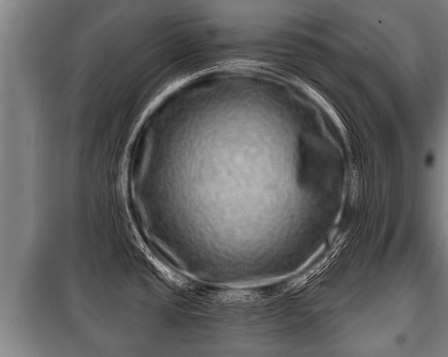 X0000100841437200806271102