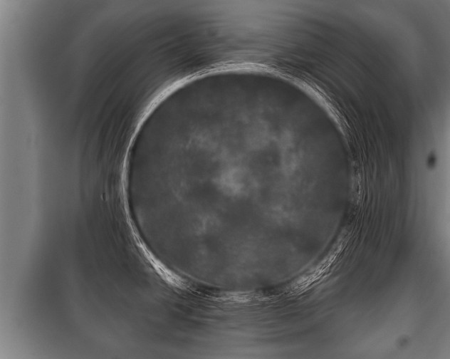 X0000100841438200806271102