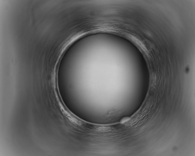 X0000100841439200806271102