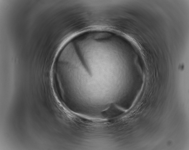 X0000100841440200806271102