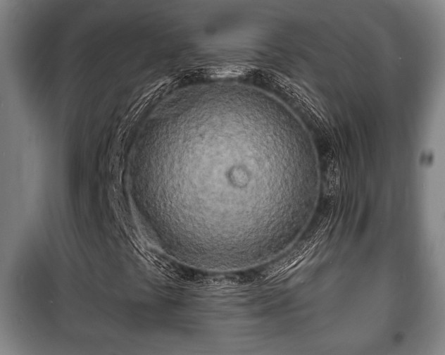 X0000100841441200806271101