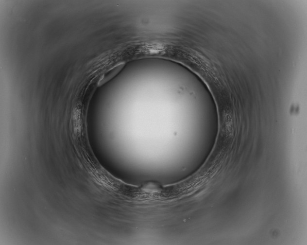 X0000100841442200806271101