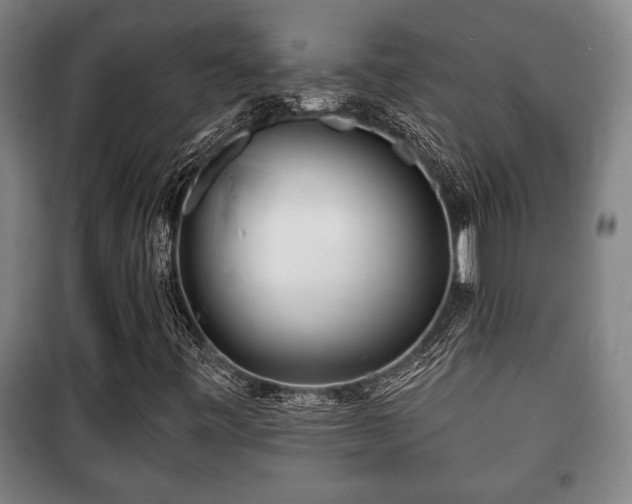 X0000100841443200806271101