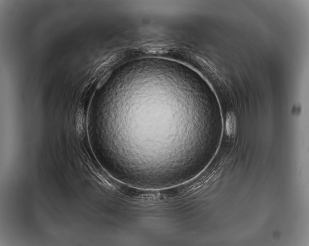 X0000100841444200806271101