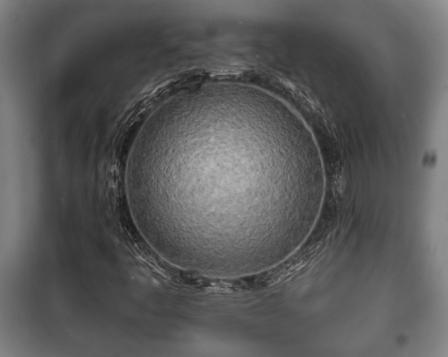 X0000100841445200806271101