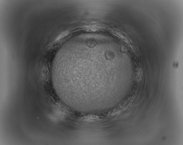 X0000100841446200806271101