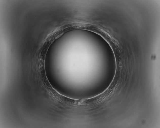 X0000100841447200806271101