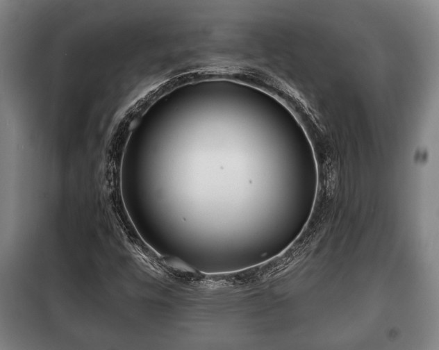 X0000100841448200806271101