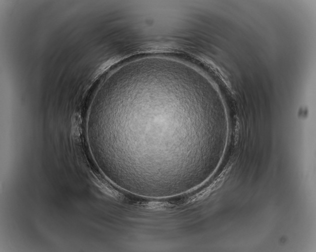 X0000100841449200806271101