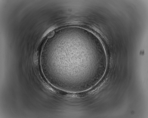 X0000100841450200806271101