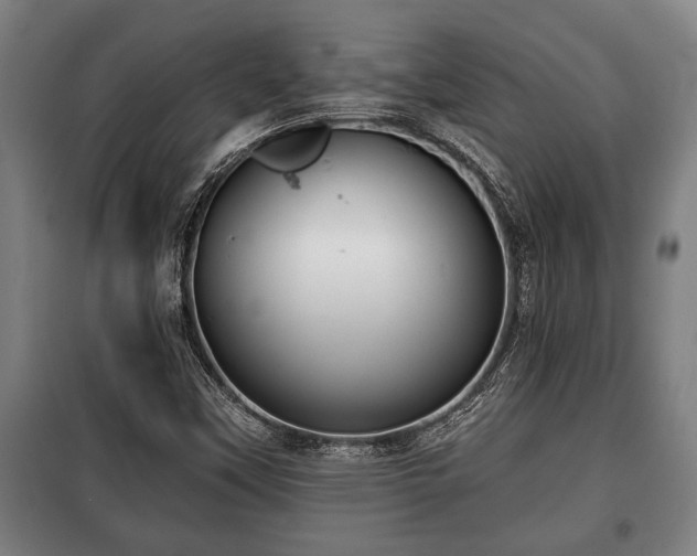 X0000100841451200806271101