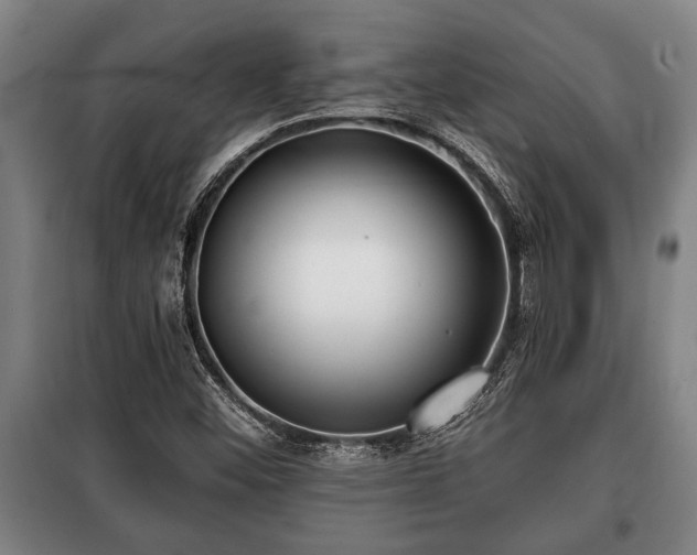 X0000100841452200806271101