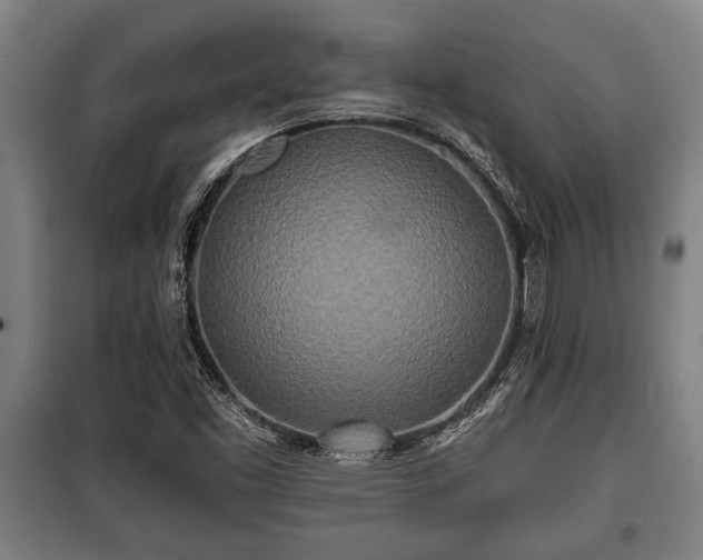 X0000100841453200806271101