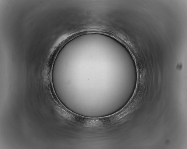 X0000100841454200806271101