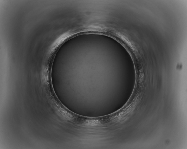 X0000100841455200806271101