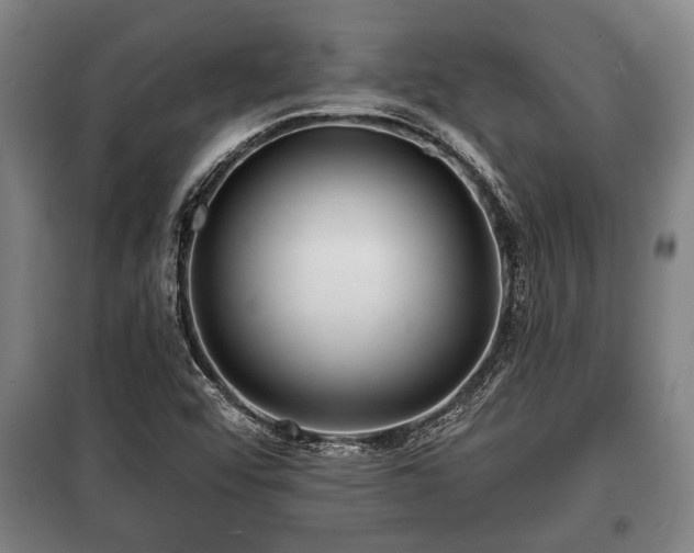 X0000100841456200806271101