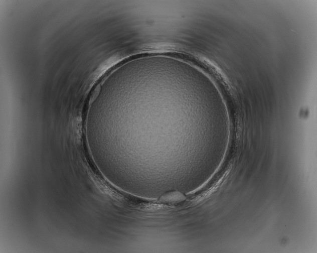 X0000100841457200806271101