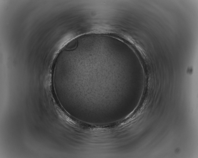 X0000100841459200806271101