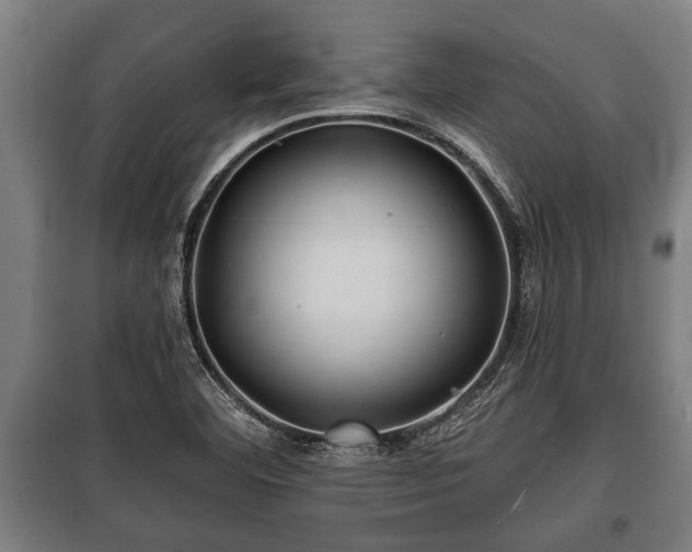 X0000100841460200806271101